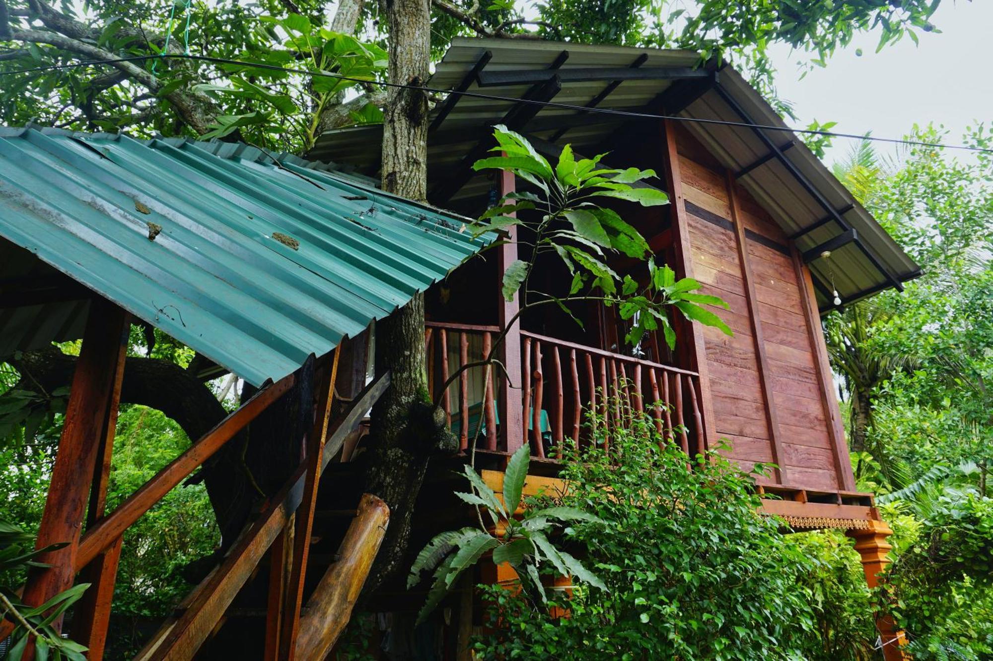 Sigiri Sky Home & Treehouse Σιγκιρίγια Εξωτερικό φωτογραφία